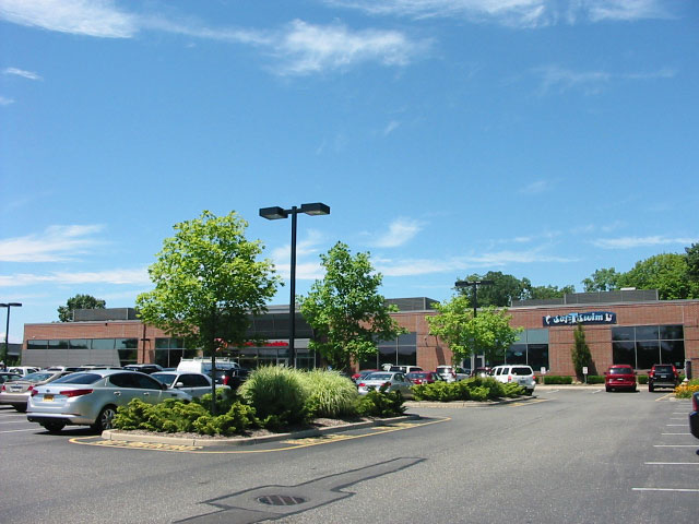 Image7